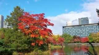 中島公園札幌パークホテル、秋の景色