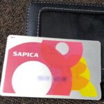 SAPICA