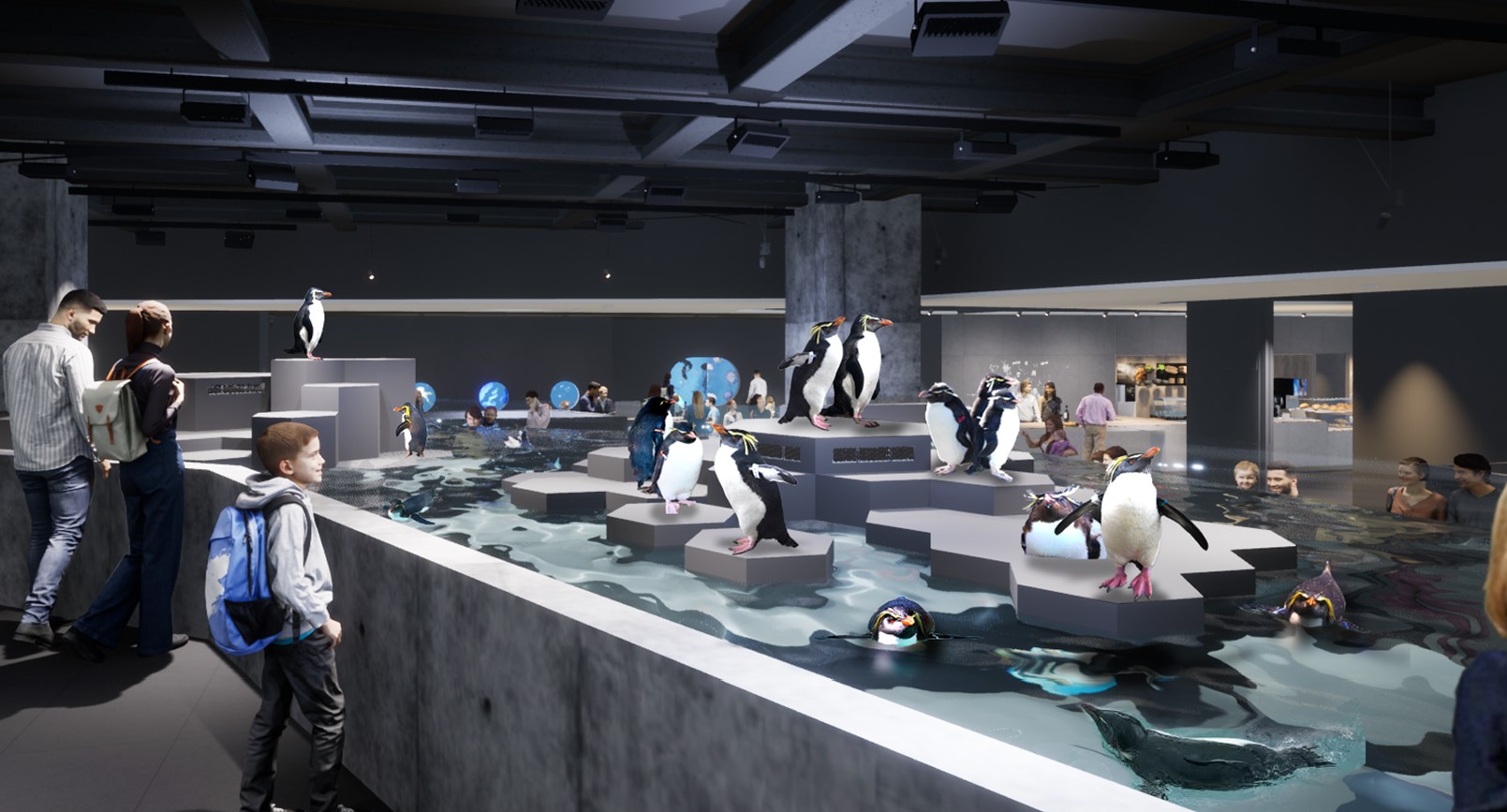 ペンギン展示水槽
