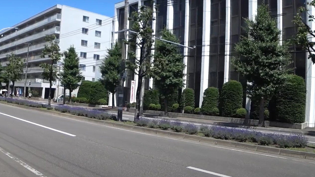 ラベンダー通り