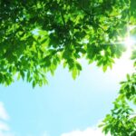 夏の空